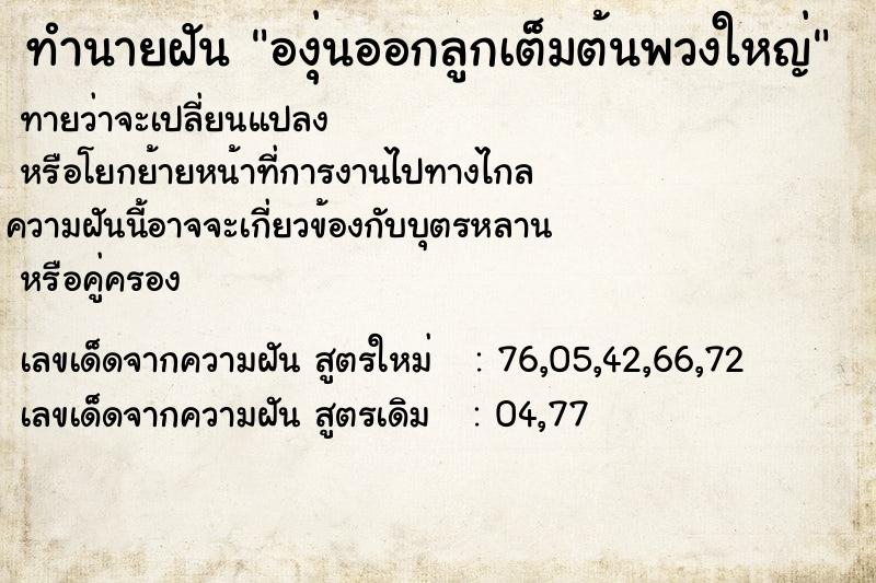 ทำนายฝันองุ่นออกลูกเต็มต้นพวงใหญ่ ทำนายฝันทำนายฝันองุ่นออกลูกเต็มต้นพวงใหญ่