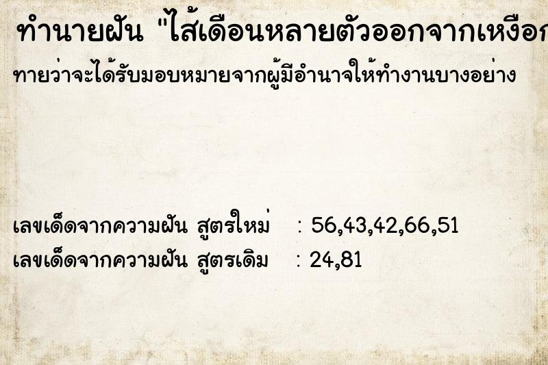ทำนายฝันทำนายฝันไส้เดือนหลายตัวออกจากเหงือก