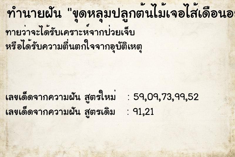 ทำนายฝัน ขุดหลุมปลูกต้นไม้เจอไส้เดือนอยู่ในดิน ทำนายฝัน ขุดหลุมปลูกต้นไม้เจอไส้เดือนอยู่ในดิน