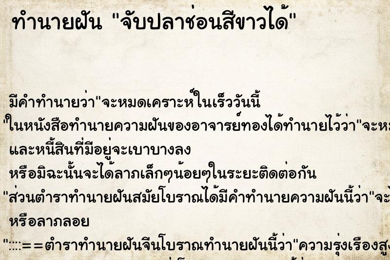 ทำนายฝัน จับปลาช่อนสีขาวได้ ทำนายฝัน จับปลาช่อนสีขาวได้