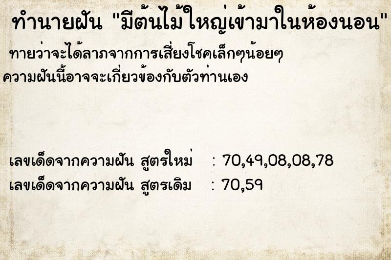 ทำนายฝัน มีต้นไม้ใหญ่เข้ามาในห้องนอน ทำนายฝัน มีต้นไม้ใหญ่เข้ามาในห้องนอน