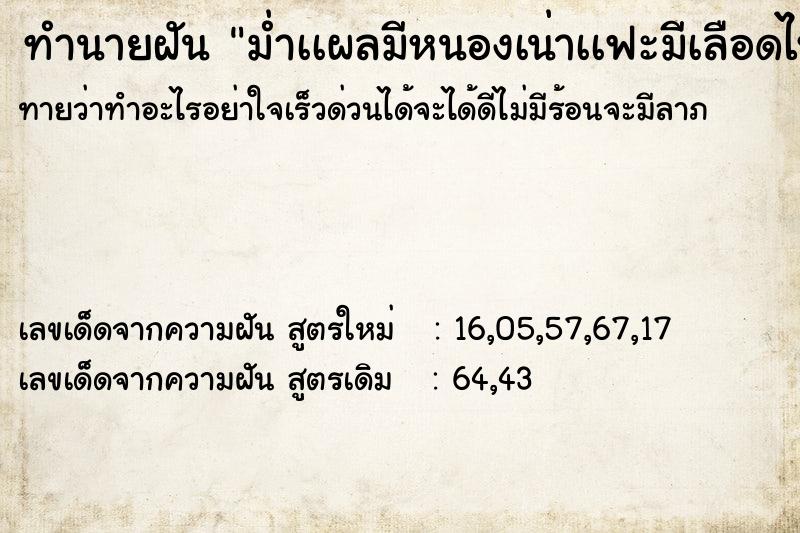 ทำนายฝันทำนายฝันม่ำเเผลมีหนองเน่าเเฟะมีเลือดไหล