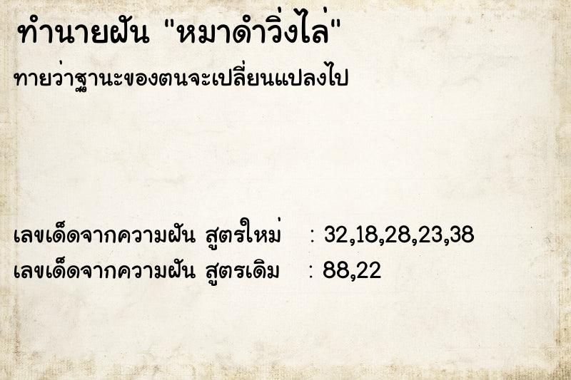 ทำนายฝัน หมาดำวิ่งไล่ ทำนายฝัน หมาดำวิ่งไล่