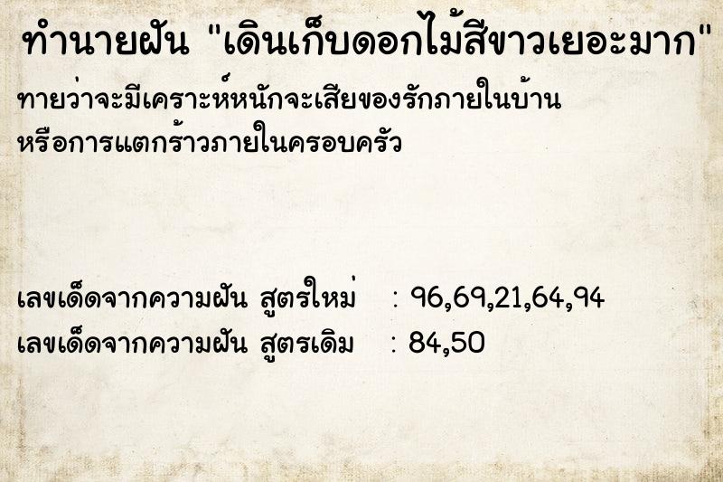 ทำนายฝันเดินเก็บดอกไม้สีขาวเยอะมาก ทำนายฝันทำนายฝันเดินเก็บดอกไม้สีขาวเยอะมาก