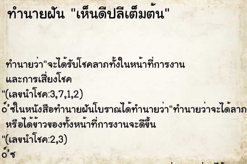 ทำนายฝัน เห็นดีปลีเต็มต้น