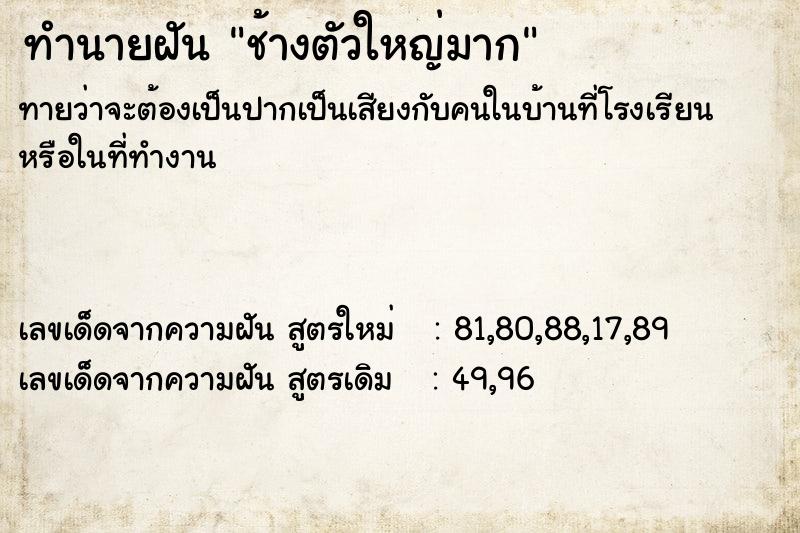 ทำนายฝัน ช้างตัวใหญ่มาก ทำนายฝัน ช้างตัวใหญ่มาก