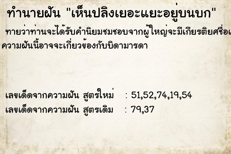 ทำนายฝันเห็นปลิงเยอะแยะอยู่บนบก ทำนายฝันทำนายฝันเห็นปลิงเยอะแยะอยู่บนบก