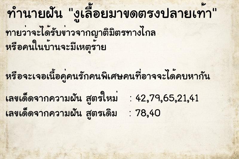 ทำนายฝันงูเลื้อยมาขดตรงปลายเท้า ทำนายฝันทำนายฝันงูเลื้อยมาขดตรงปลายเท้า