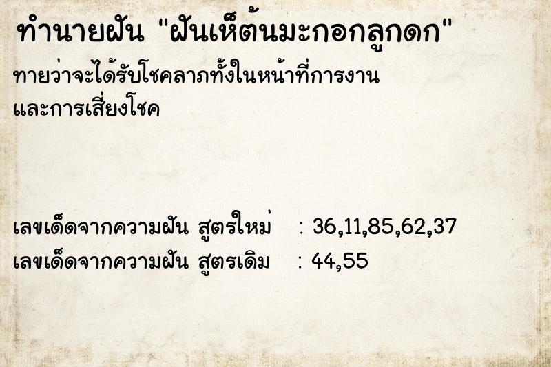 ทำนายฝันฝันเห็ต้นมะกอกลูกดก ทำนายฝันทำนายฝันฝันเห็ต้นมะกอกลูกดก