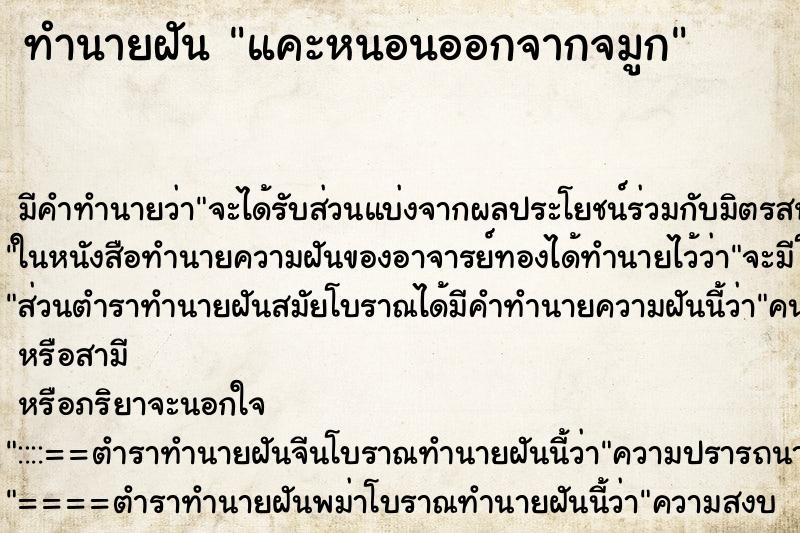 ทำนายฝัน แคะหนอนออกจากจมูก ทำนายฝัน แคะหนอนออกจากจมูก
