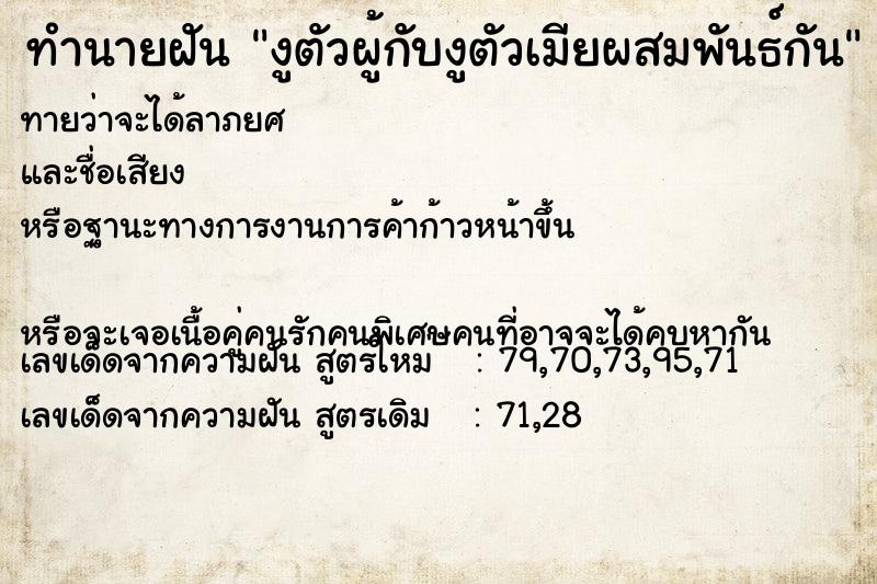 ทำนายฝันงูตัวผู้กับงูตัวเมียผสมพันธ์กัน ทำนายฝันทำนายฝันงูตัวผู้กับงูตัวเมียผสมพันธ์กัน