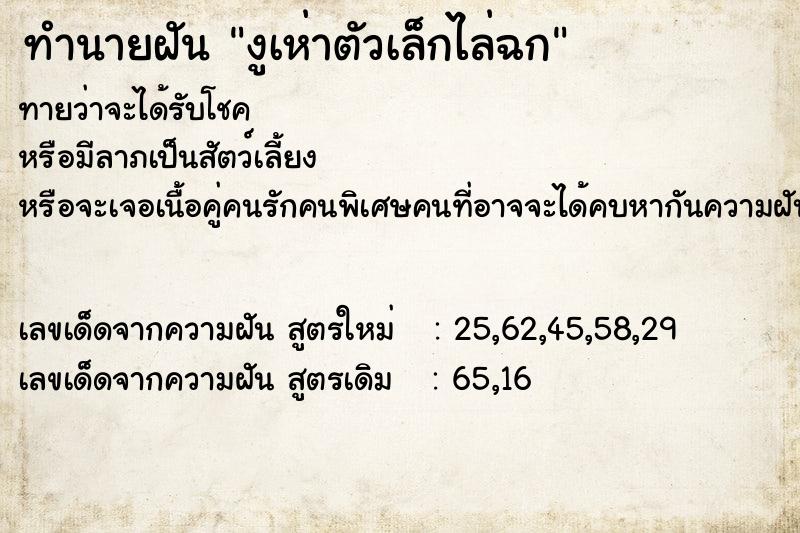 ทำนายฝันงูเห่าตัวเล็กไล่ฉก ทำนายฝันทำนายฝันงูเห่าตัวเล็กไล่ฉก