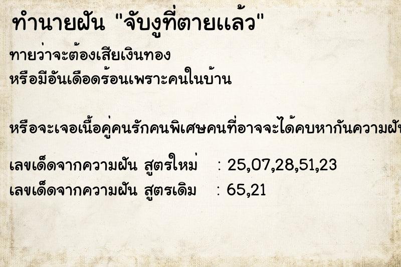 ทำนายฝันจับงูที่ตายเเล้ว ทำนายฝันทำนายฝันจับงูที่ตายเเล้ว