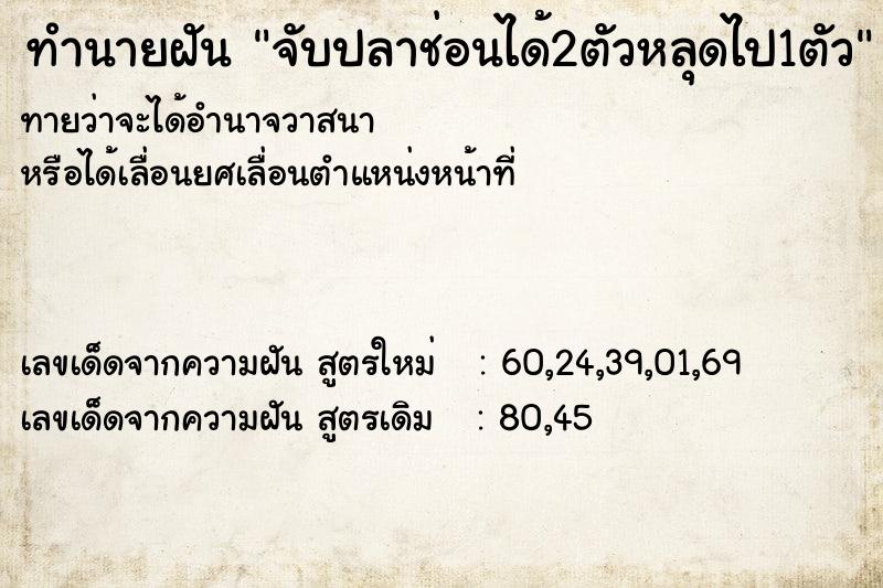 ทำนายฝันทำนายฝันจับปลาช่อนได้2ตัวหลุดไป1ตัว