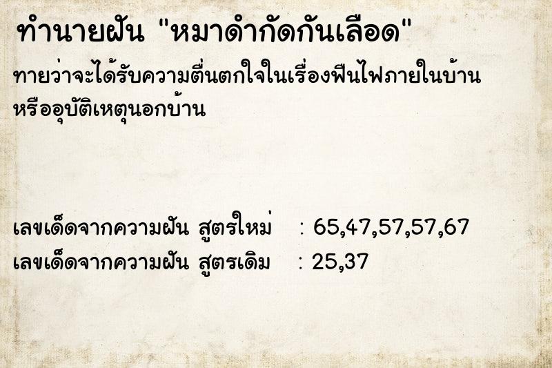 ทำนายฝันหมาดำกัดกันเลือด ทำนายฝันทำนายฝันหมาดำกัดกันเลือด