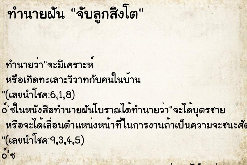 ทำนายฝันจับลูกสิงโต ทำนายฝันทำนายฝันจับลูกสิงโต