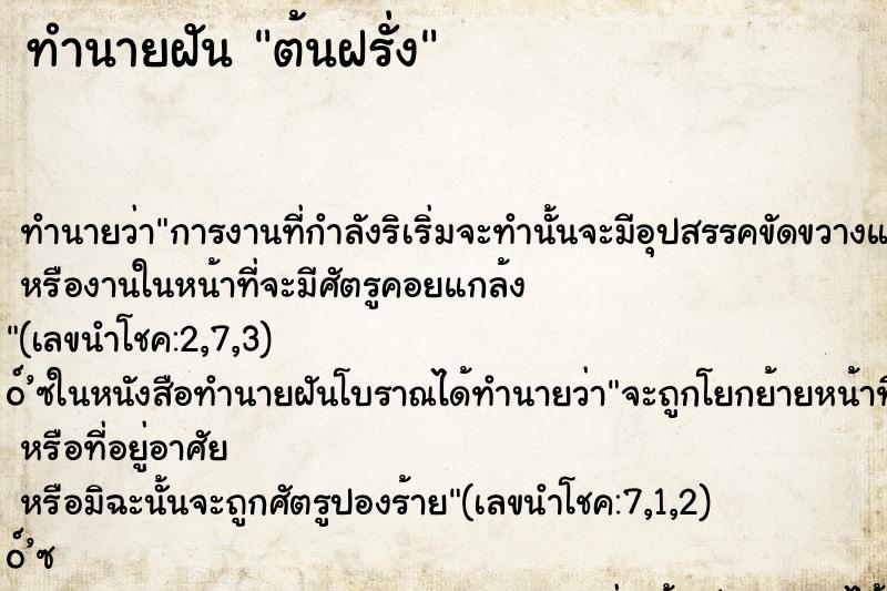 ทำนายฝัน ต้นฝรั่ง ตำราโบราณ แม่นที่สุดในโลก