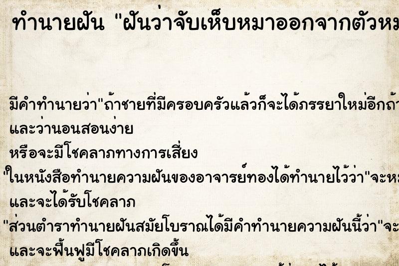 ทำนายฝัน ฝันว่าจับเห็บหมาออกจากตัวหมาเพียบเลย ทำนายฝัน ฝันว่าจับเห็บหมาออกจากตัวหมาเพียบเลย