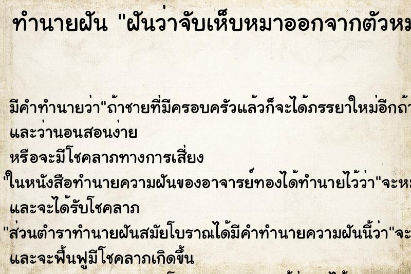 ทำนายฝัน ฝันว่าจับเห็บหมาออกจากตัวหมาเพียบเลย ตำราโบราณ แม่นที่สุดในโลก