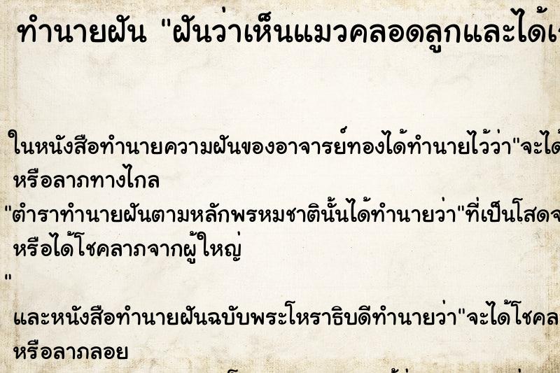 ทำนายฝัน ฝันว่าเห็นแมวคลอดลูกและได้เก็บรกแมวไว้ ตำราโบราณ แม่นที่สุดในโลก