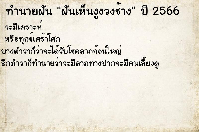 ทำนายฝันทำนายฝันฝันเห็นงูงวงช้าง