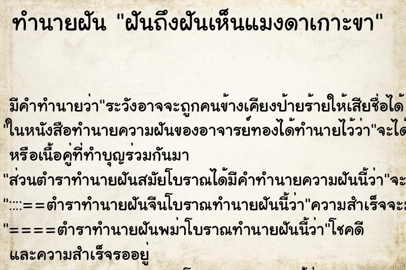 ทำนายฝันฝันถึงฝันเห็นแมงดาเกาะขา ทำนายฝันทำนายฝันฝันถึงฝันเห็นแมงดาเกาะขา