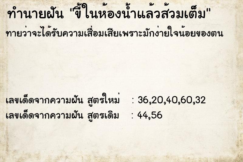 ทำนายฝัน ขี้ในห้องน้ำแล้วส้วมเต็ม ทำนายฝัน ขี้ในห้องน้ำแล้วส้วมเต็ม