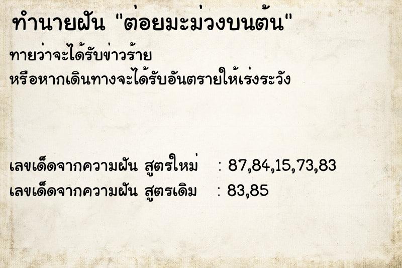 ทำนายฝันทำนายฝันต่อยมะม่วงบนต้น