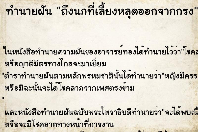 ทำนายฝัน ถึงนกที่เลี้ยงหลุดออกจากกรง ทำนายฝัน ถึงนกที่เลี้ยงหลุดออกจากกรง