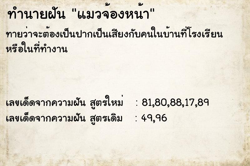 ทำนายฝัน แมวจ้องหน้า ทำนายฝัน แมวจ้องหน้า