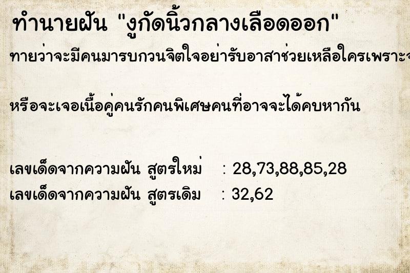 ทำนายฝันทำนายฝันงูกัดนิ้วกลางเลือดออก