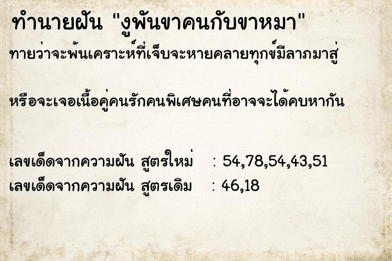 ทำนายฝันงูพันขาคนกับขาหมา ทำนายฝันทำนายฝันงูพันขาคนกับขาหมา