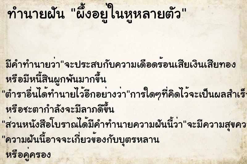 ทำนายฝันผึ้งอยู่ในหูหลายตัว ทำนายฝันทำนายฝันผึ้งอยู่ในหูหลายตัว