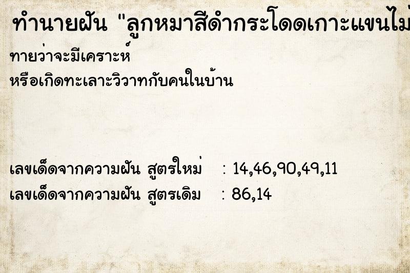 ทำนายฝันทำนายฝันลูกหมาสีดำกระโดดเกาะแขนไม่ยอมปล่อย