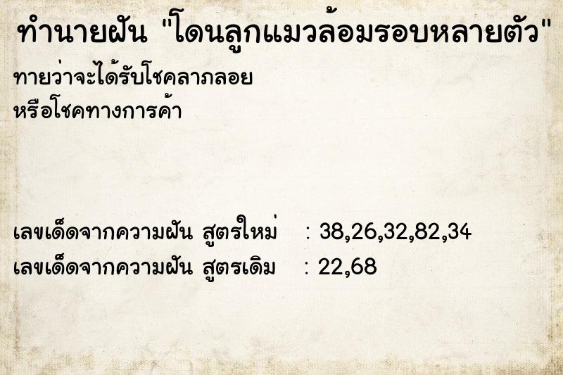ทำนายฝันทำนายฝันโดนลูกแมวล้อมรอบหลายตัว