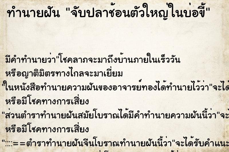 ทำนายฝัน จับปลาช้อนตัวใหญ่ในบ่อขี้ ตำราโบราณ แม่นที่สุดในโลก