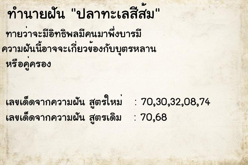 ทำนายฝันปลาทะเลสีส้ม ทำนายฝันทำนายฝันปลาทะเลสีส้ม