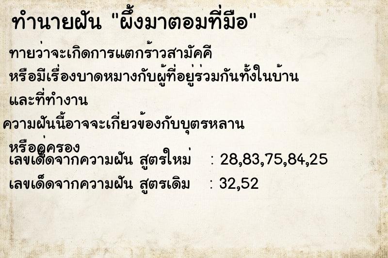 ทำนายฝันผึ้งมาตอมที่มือ ทำนายฝันทำนายฝันผึ้งมาตอมที่มือ