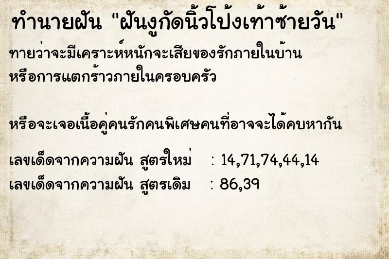 ทำนายฝันทำนายฝันฝันงูกัดนิ้วโป้งเท้าซ้ายวัน