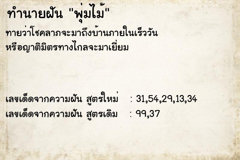 ทำนายฝันทำนายฝันพุ่มไม้