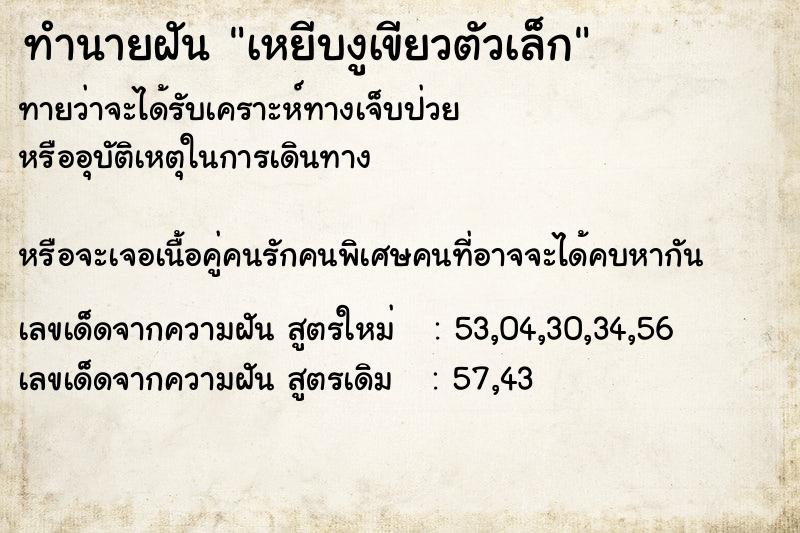 ทำนายฝันเหยีบงูเขียวตัวเล็ก ทำนายฝันทำนายฝันเหยีบงูเขียวตัวเล็ก