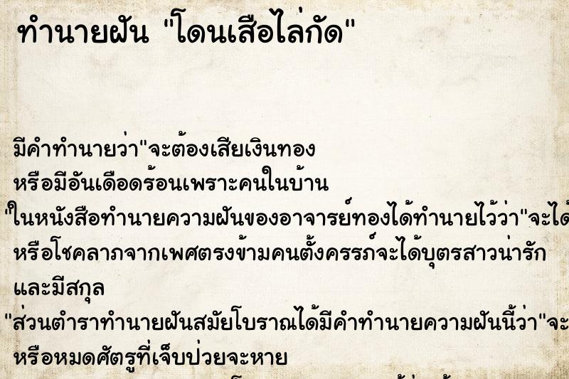 ทำนายฝัน โดนเสือไล่กัด ตำราโบราณ แม่นที่สุดในโลก