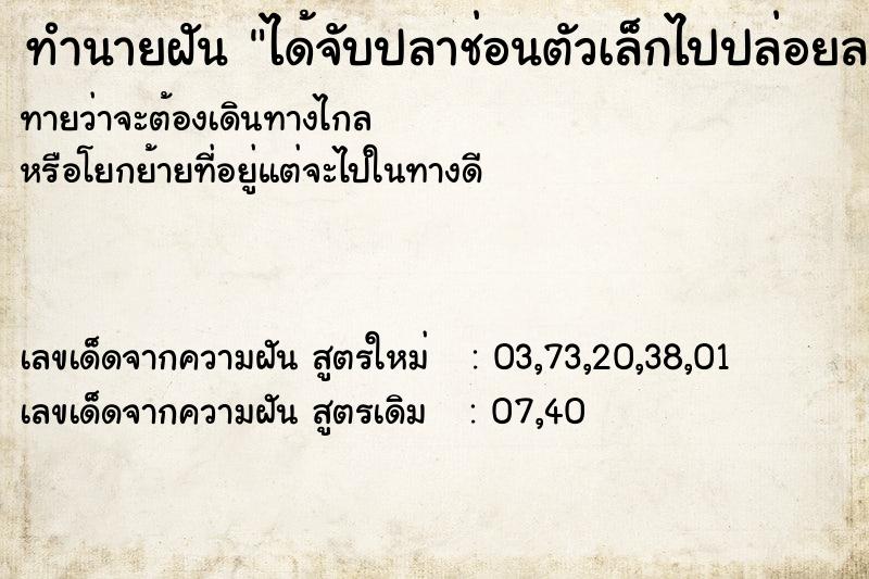 ทำนายฝันทำนายฝันได้จับปลาช่อนตัวเล็กไปปล่อยลงบ่อ