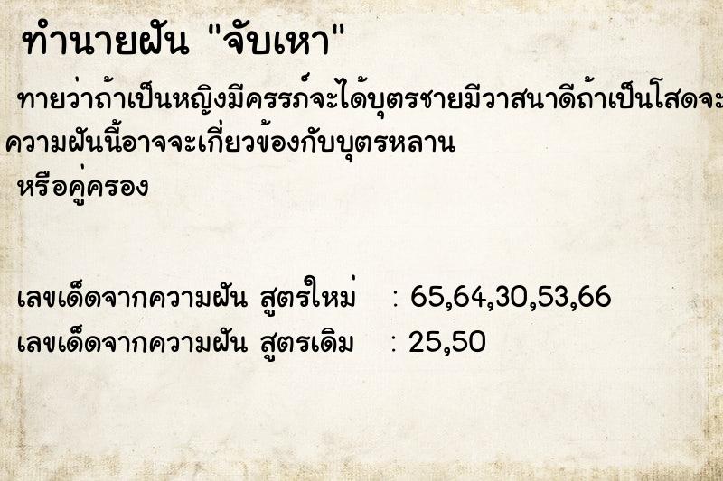 ทำนายฝันทำนายฝันจับเหา