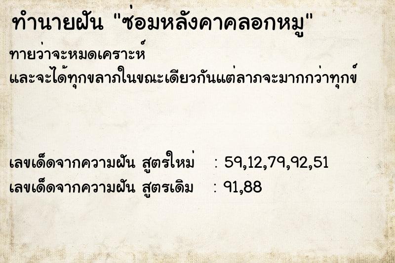 ทำนายฝันทำนายฝันซ่อมหลังคาคลอกหมู
