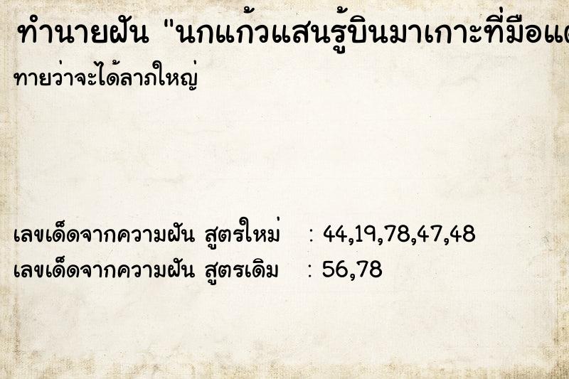 ทำนายฝันทำนายฝันนกแก้วแสนรู้บินมาเกาะที่มือแต่เป็นนกคนอื่น