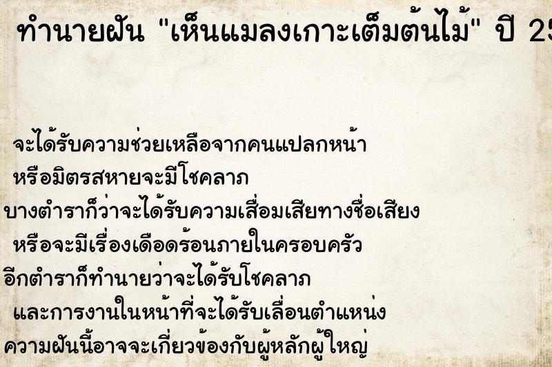 ทำนายฝันเห็นแมลงเกาะเต็มต้นไม้ ทำนายฝันทำนายฝันเห็นแมลงเกาะเต็มต้นไม้