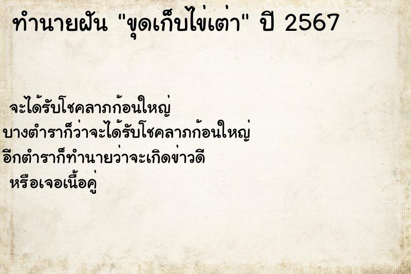 ทำนายฝันขุดเก็บไข่เต่า ทำนายฝันทำนายฝันขุดเก็บไข่เต่า