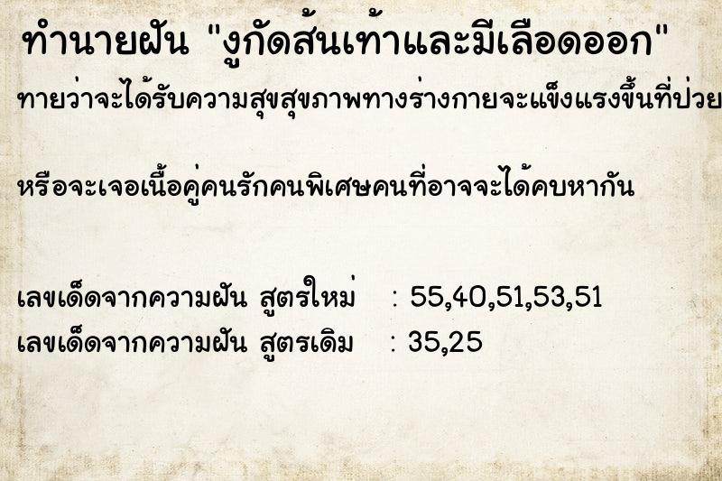 ทำนายฝันงูกัดส้นเท้าและมีเลือดออก ทำนายฝันทำนายฝันงูกัดส้นเท้าและมีเลือดออก