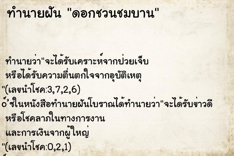 ทำนายฝัน ดอกชวนชมบาน ทำนายฝัน ดอกชวนชมบาน